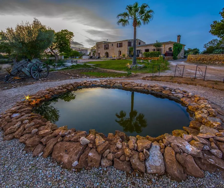 סס סלינס Finca Es Carbo
